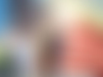 Working as a freelancer in the USA: is it possible with a legal visa?