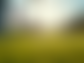 Why Family-Friendly Golf Lessons Are Worth It