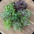 Local Roots Farmers Market