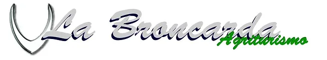 logo.jpg.webp