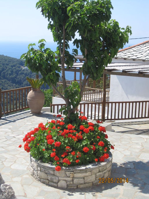 Solo Sailing Holidays