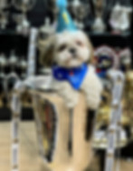 Louie Supreme Trophies and Engraving