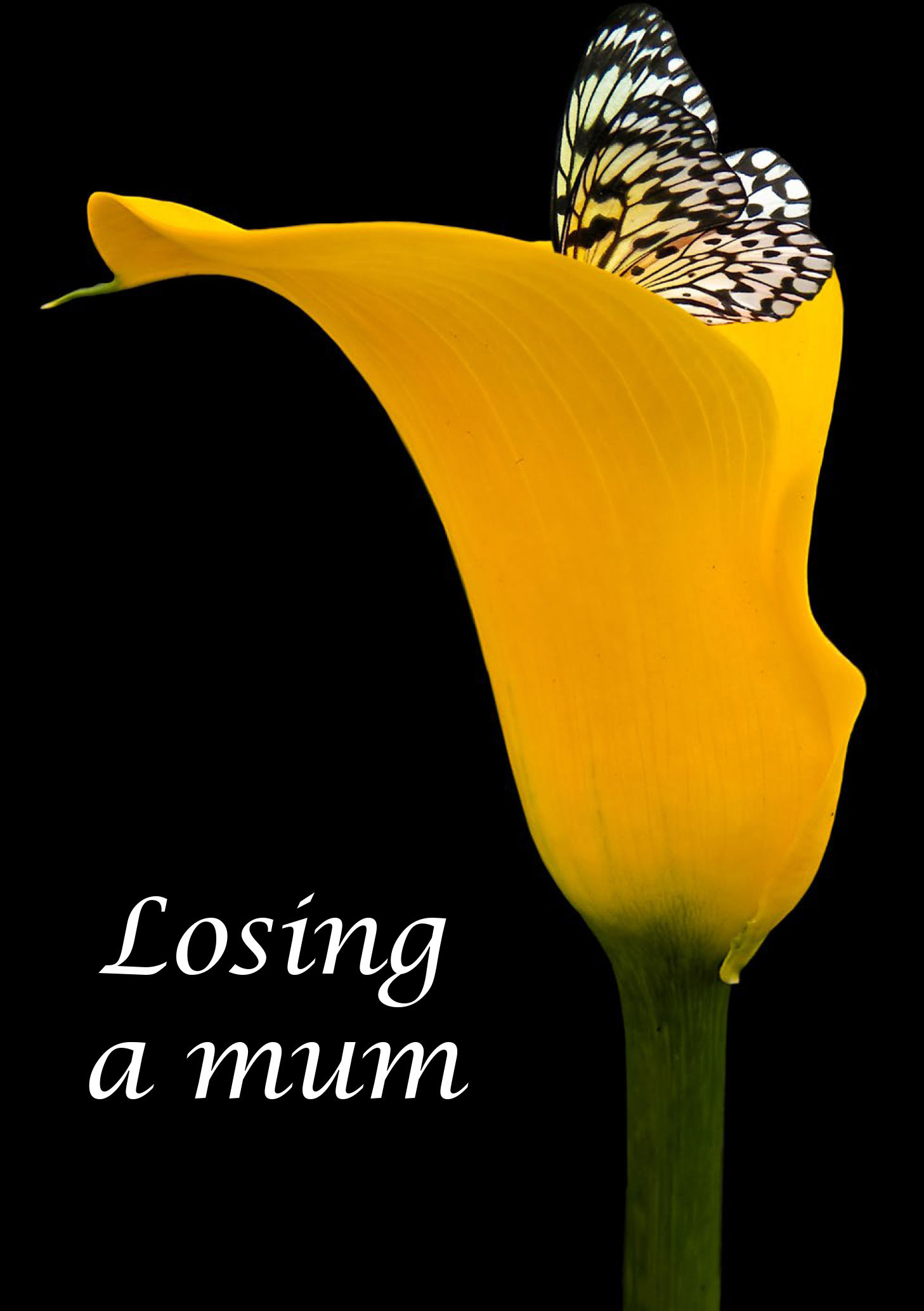 Losing a mum
