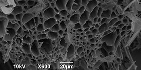 Biochar close up.jpeg