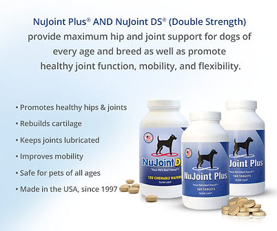 nujoint-plus-and-nujoint-ds-supplementsR.jpg