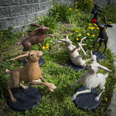 Rite of Spring