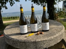 Tasting Chablis at vineyard
