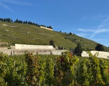 Hermitage, looking from Croze-Hermitage