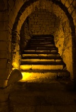 800-years old cellar