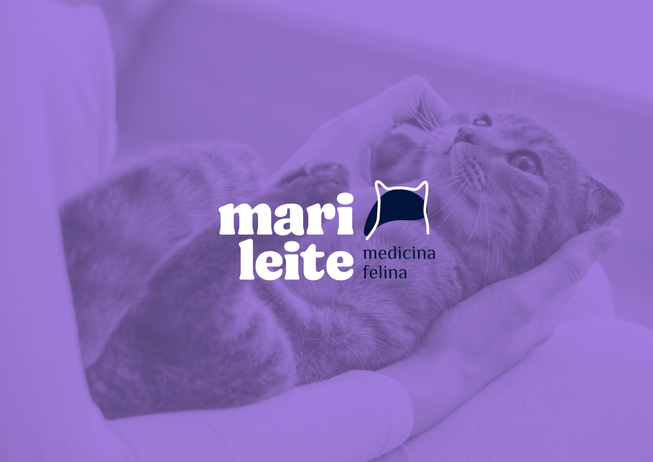 montagem behance_mari_5
