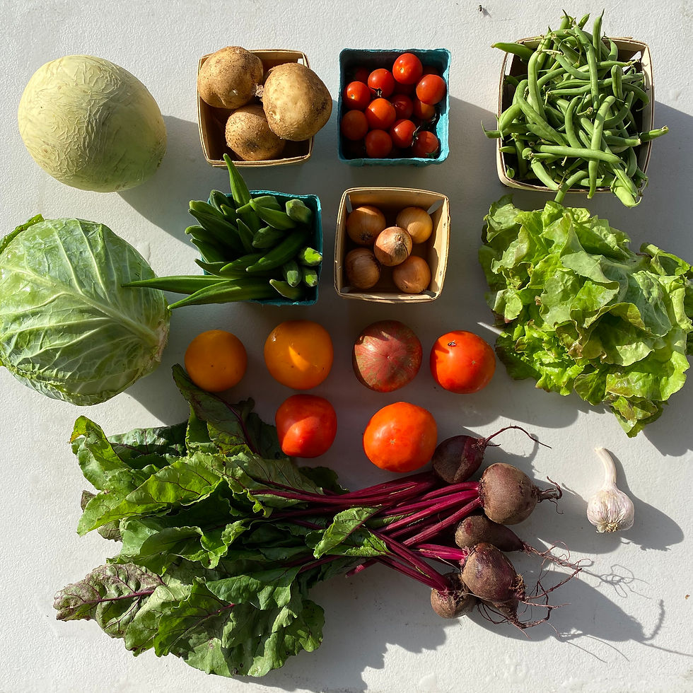 Grocer CSA - 11 Weeks