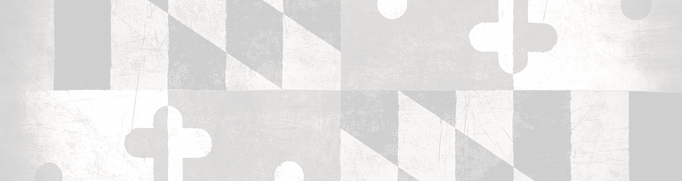 Maryland Flag B&W Subdued