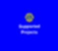 Become a Lion_ICON-07