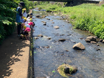 お散歩途中調川川で川遊び！