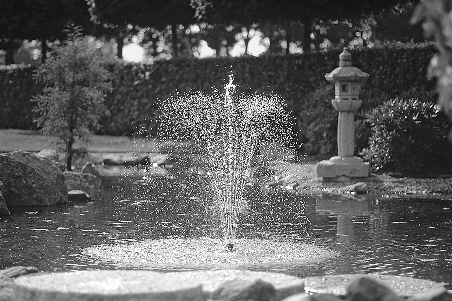 Pond Maintenance