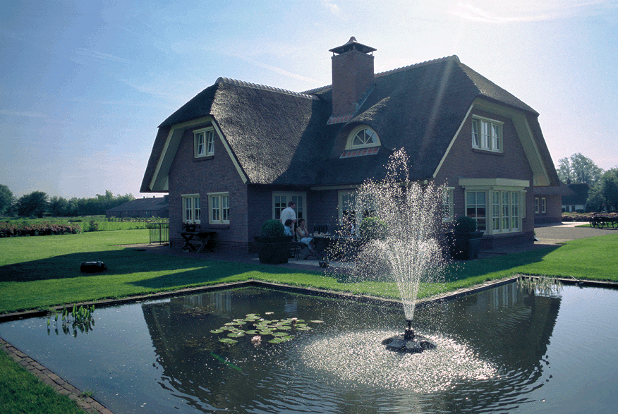 Pond Maintenance