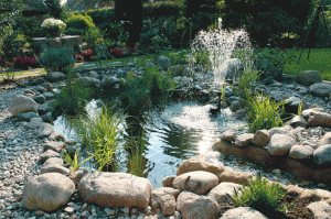 Pond Maintenance of farnham