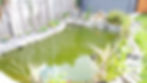 Pond in Basingstoke