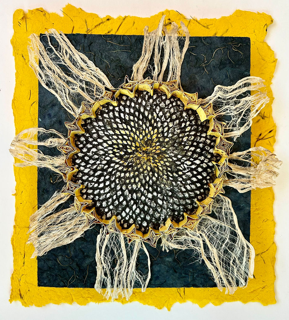 Solar Flower