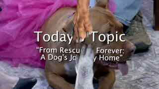 Friends of Homeless Animals