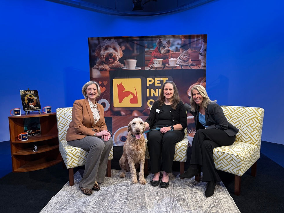 Jennifer Eileen, Host with Tucker, Dr. Heather Hoch DVM and JoElle Dimicele, LCSW