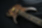 DSC07210.jpeg