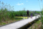 Man and child walk on a wooden boardwalk at Richard DeKorte Park through tall grasses under a clear blue sky. Other people further along, serene setting.