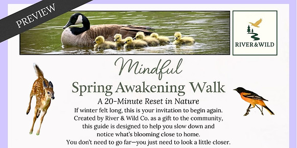 Mindful Nature Walk for Spring