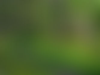 10 Best Nature Trails & Parks In Cranford, New Jersey