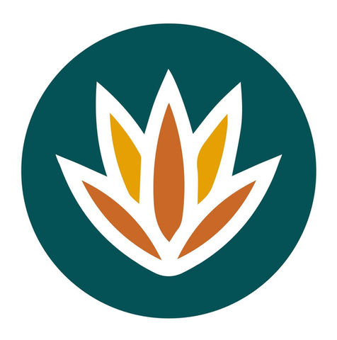 logo for arizona impact for good