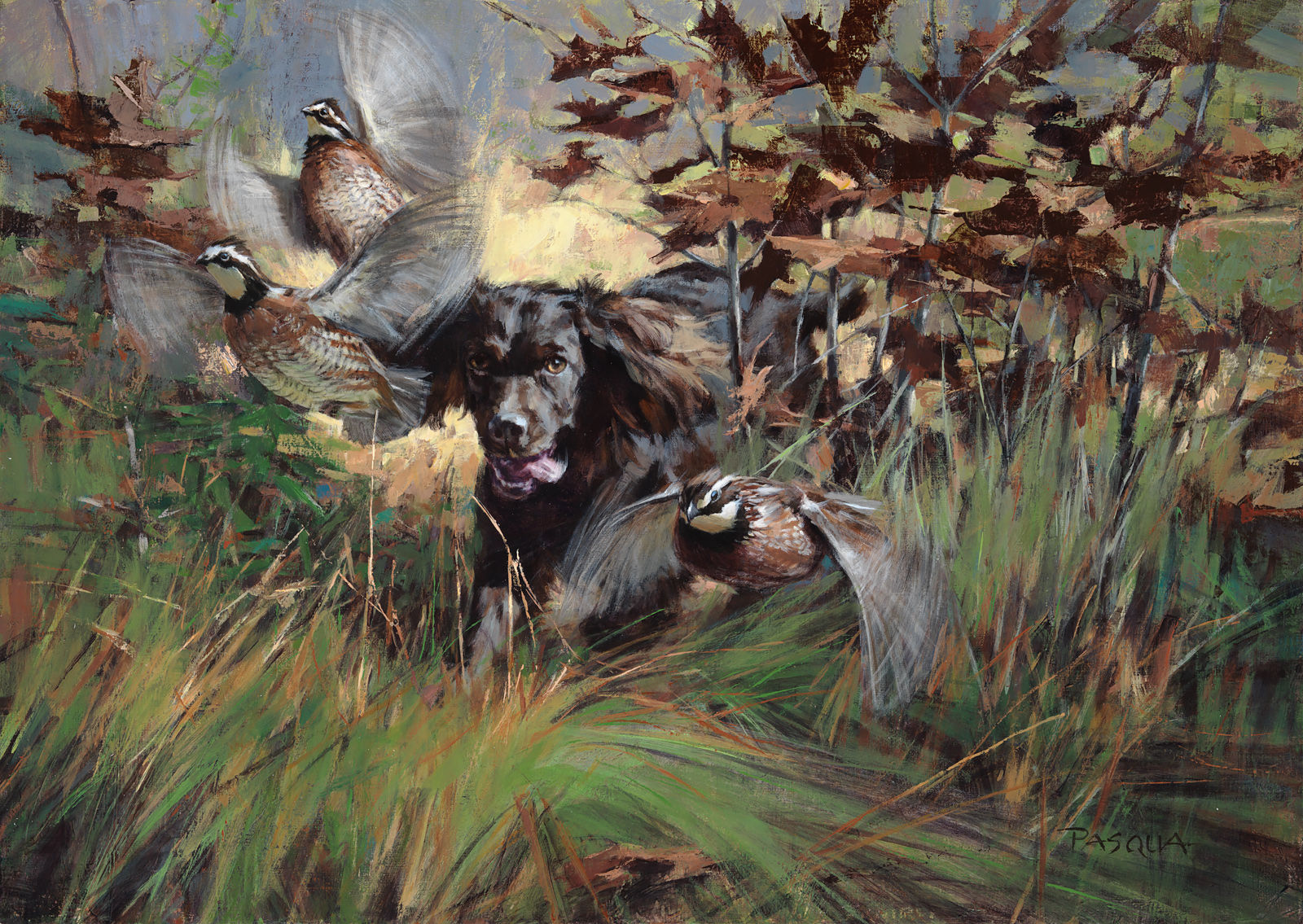 Sudden Surprise  18 x 25