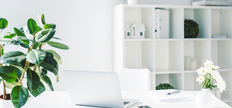 Office-white_privacy.jpg