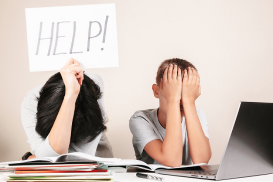 Homework Help_2.png