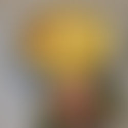 Quiche de Alho Poró e queijo Emmenthal