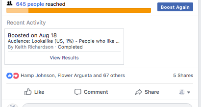Facebook Page Likes