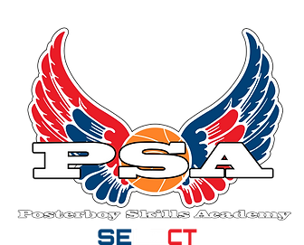 PSA Select Logo.PNG