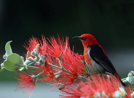 Starting a Work-From-Home Solo Business