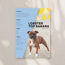 Neutral Orange Paper Card Print Mockup Instagram Post.png