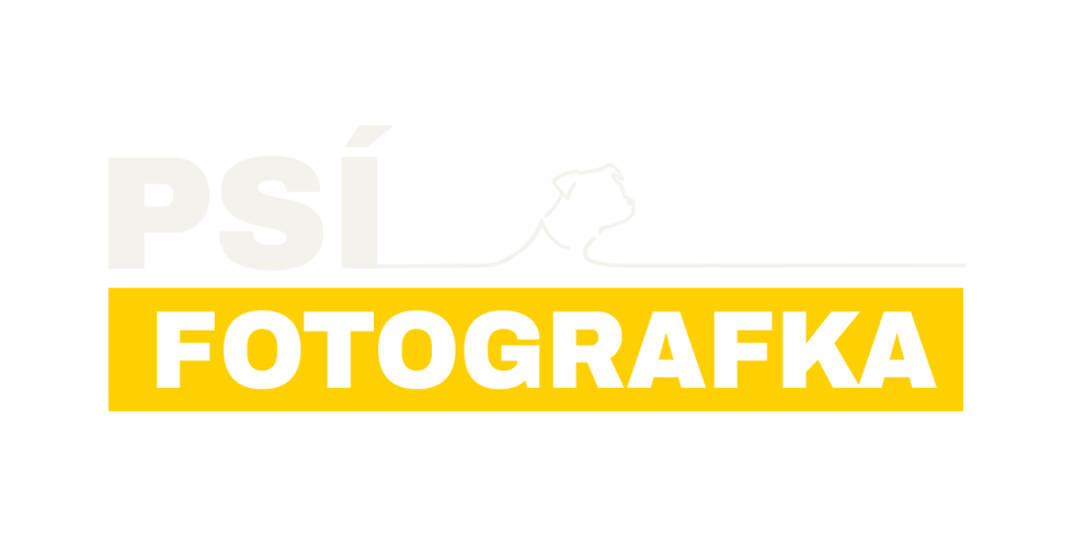 L_horizontal_transparentwhiteyellow kopie.png