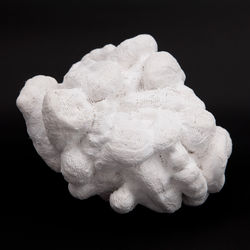 Object
