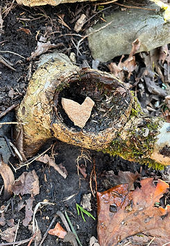 Heart rock found on a trail in the Ozarks