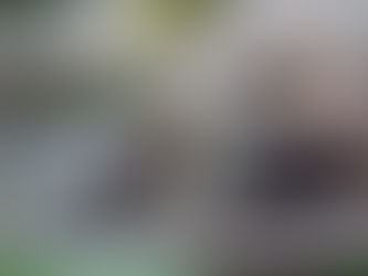 雨の日でも、もう足元に悩まない。