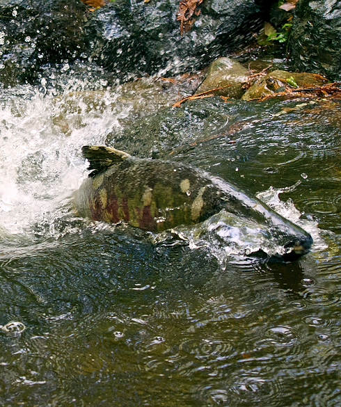 DSC09243_edited.png