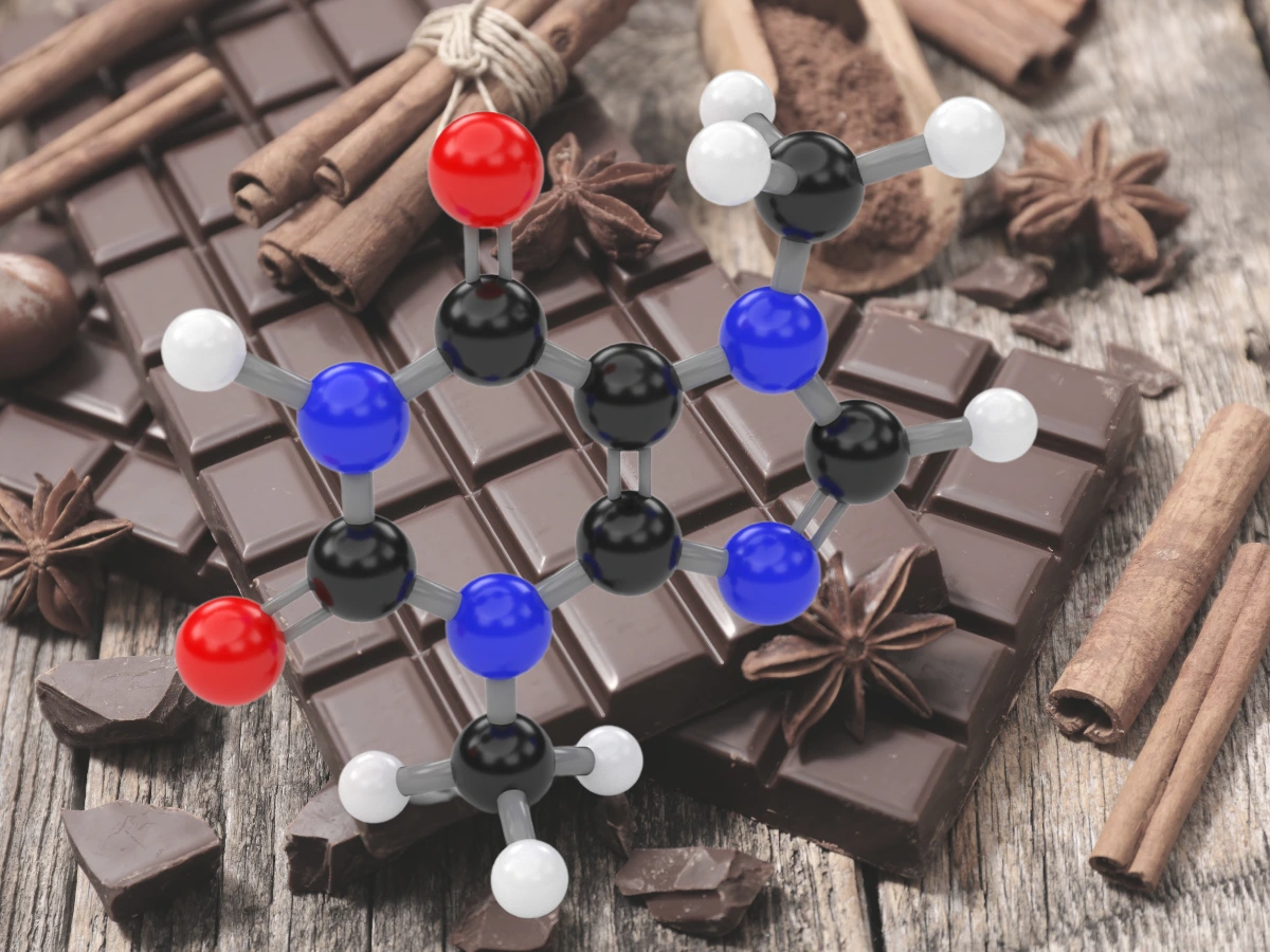 Picture of How Can Dark Chocolate Increase Male Sperm Count and Quality?