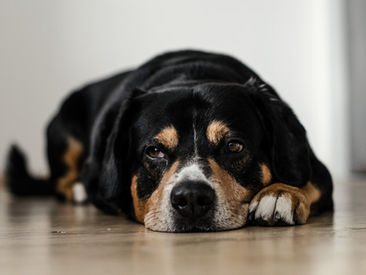 The Benefits of Boredom