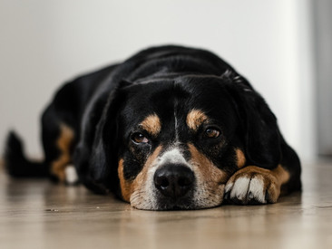 The Benefits of Boredom