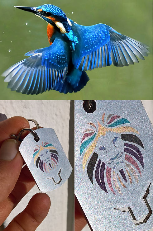 Ijsvogel nadoen met een laser.jpg