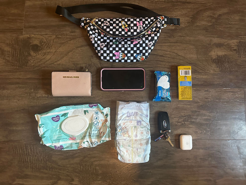 Thumbnail: Fab Five Bum Bag