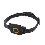 PINGO D4 Device y Collar.jpeg