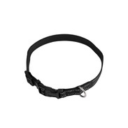 PINGO D4 Collar.jpeg